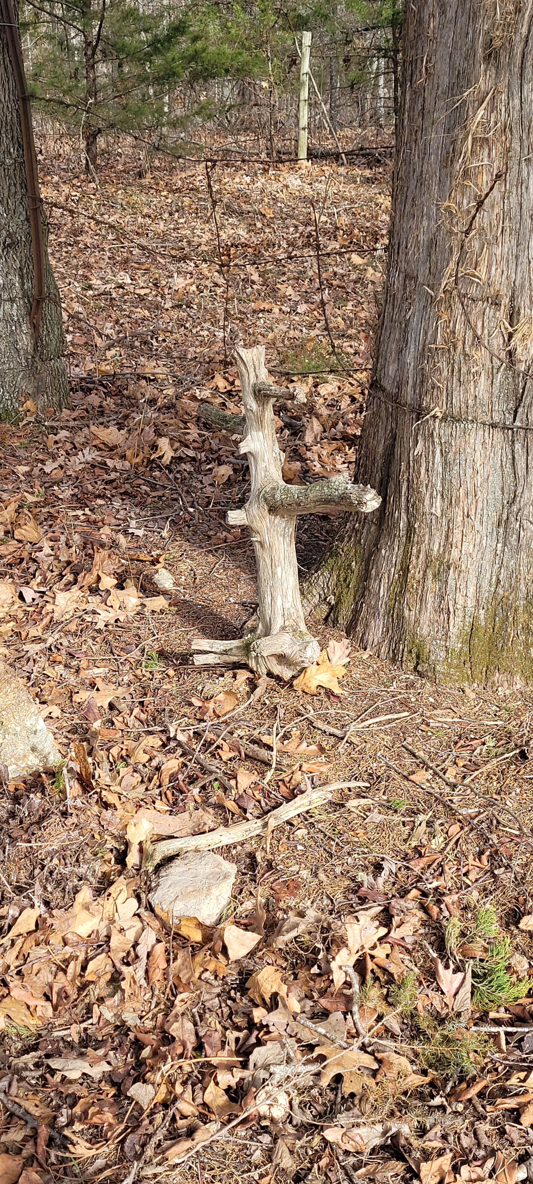 Kendall Cemetery Reclamation