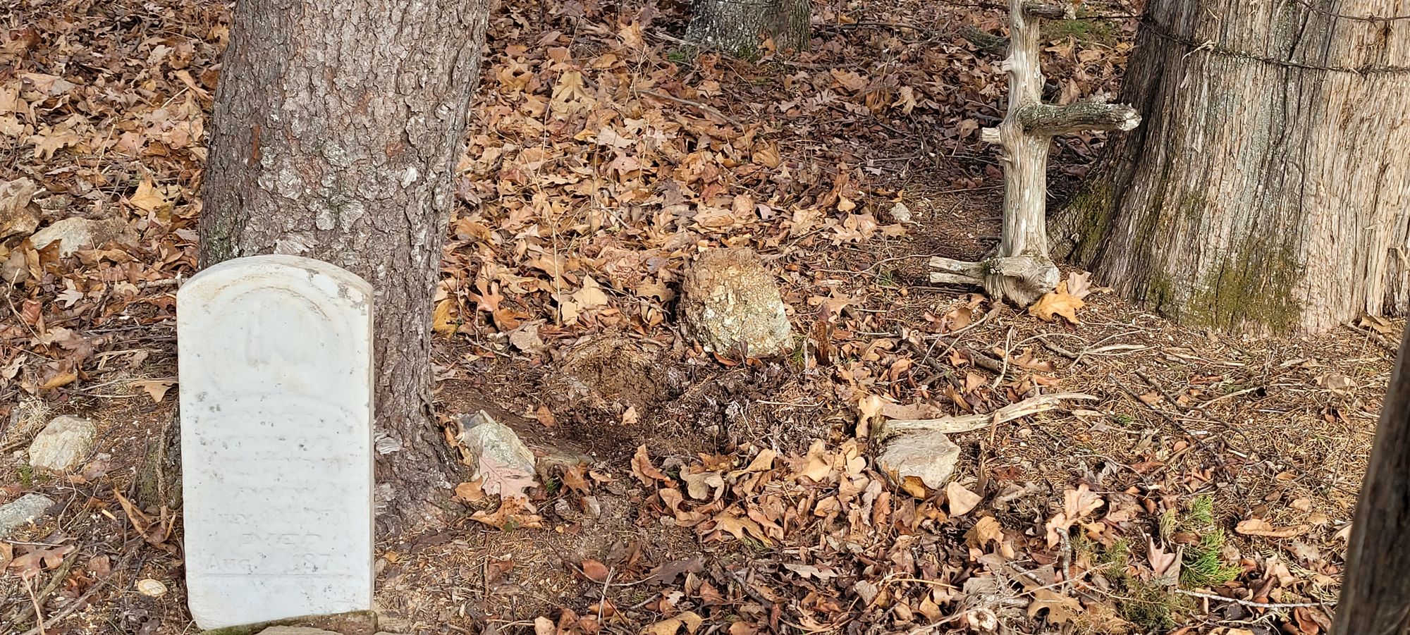 Kendall Cemetery Reclamation