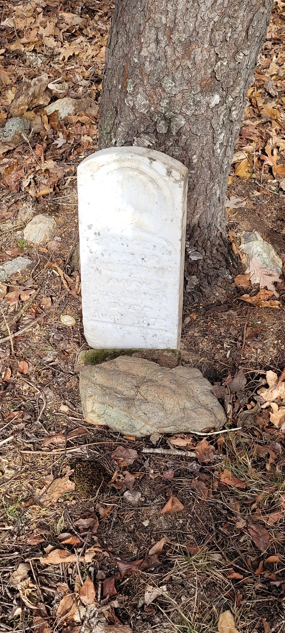 Kendall Cemetery Reclamation