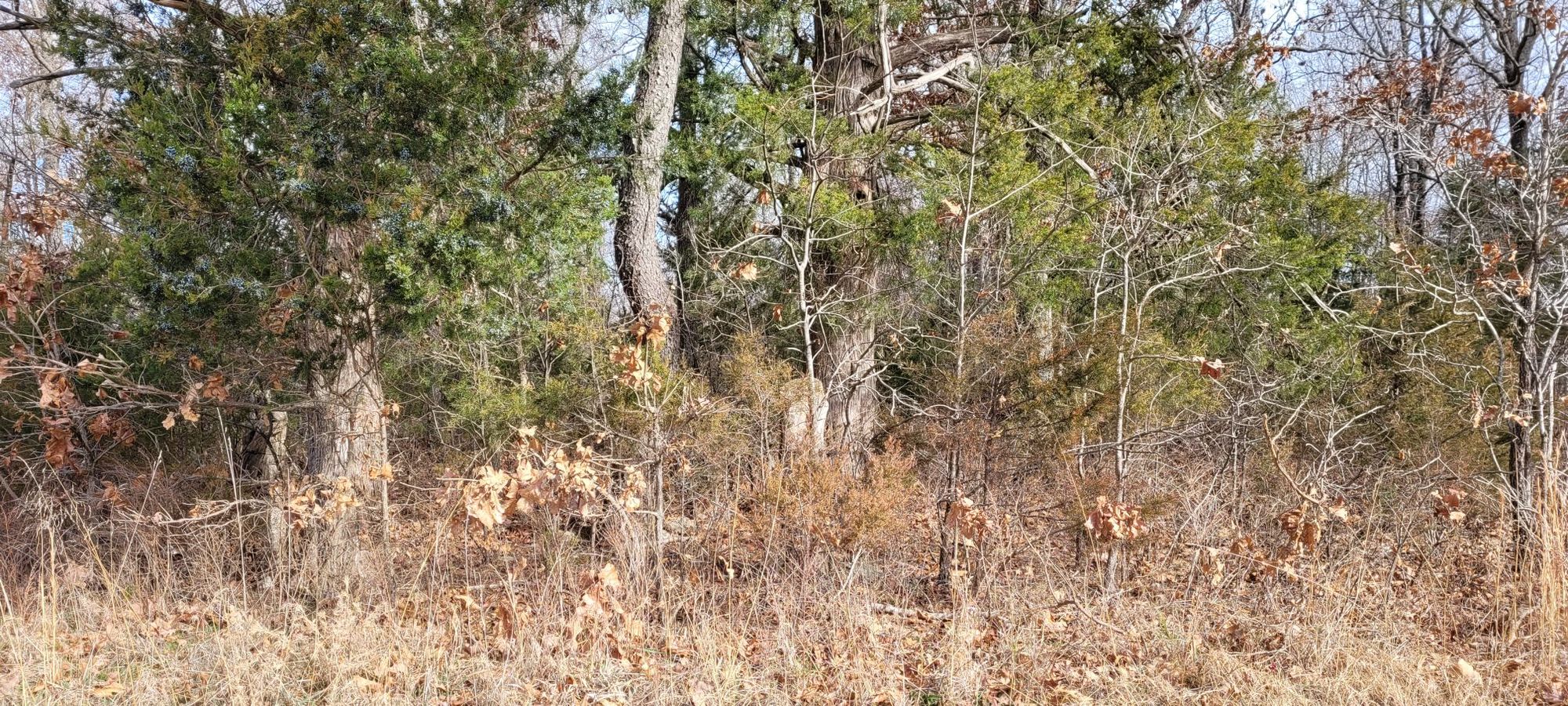 Kendall Cemetery Reclamation