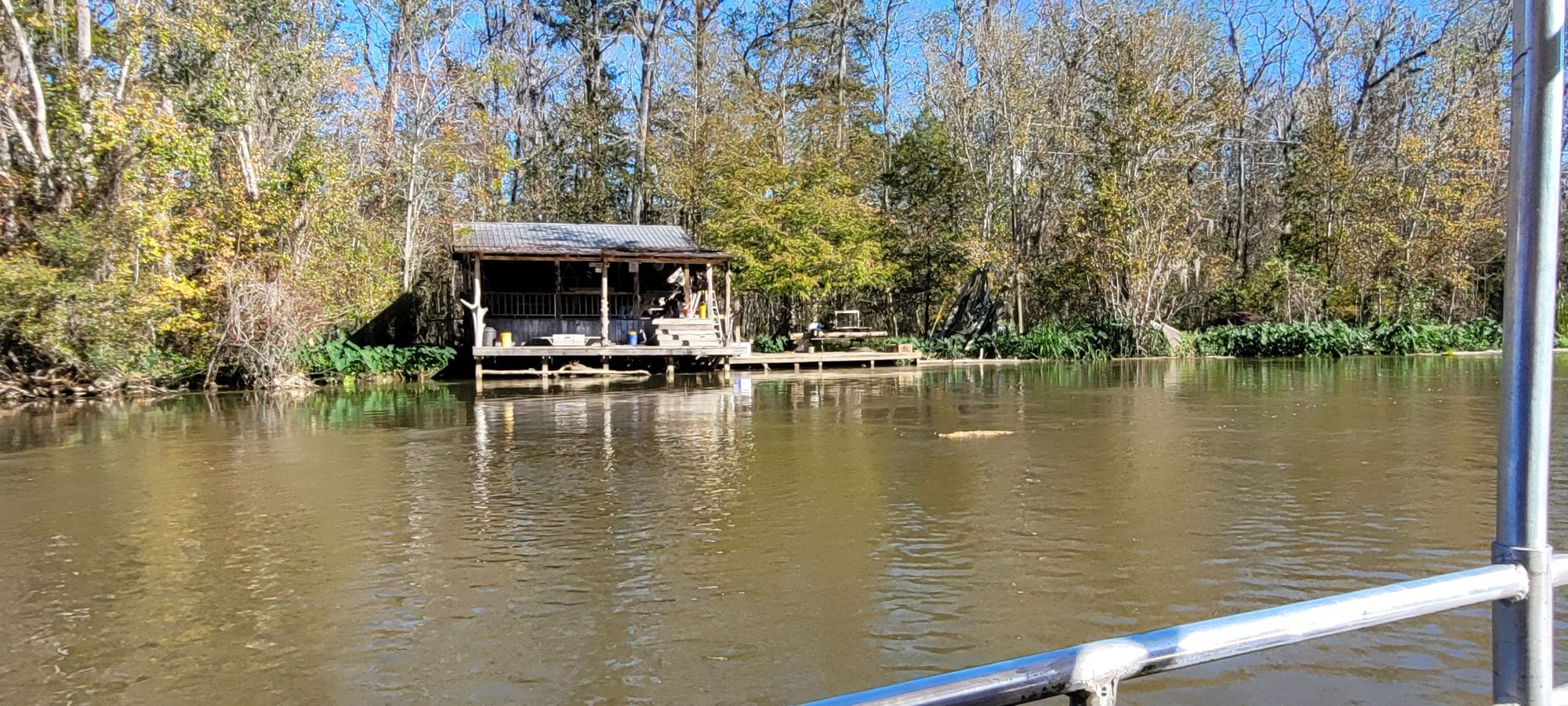 Honey Island Swamp Tour