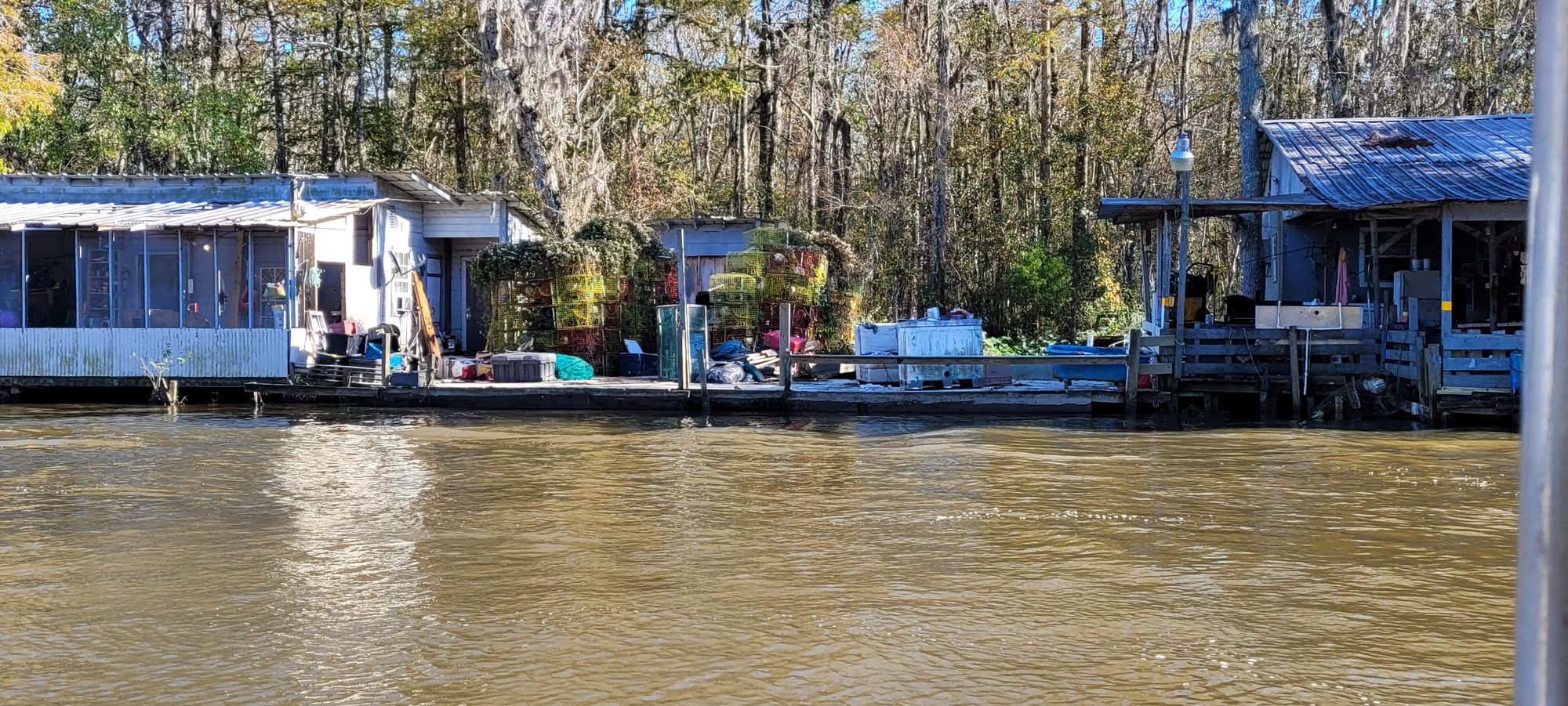 Honey Island Swamp Tour